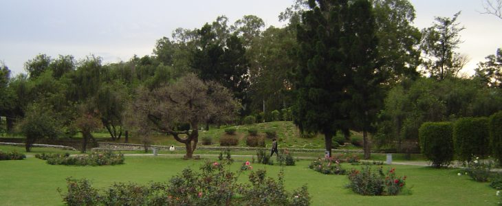 india-chandigarh-rose-garden