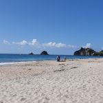 new-zealand-hahei-beach
